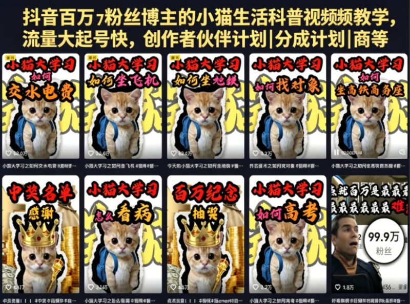 抖音百万粉丝博主的小猫生活科普视频教学，流量大起号快，创作者伙伴计划|分成计划|商单|收徒等-课圈