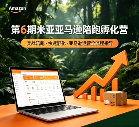 米亚亚马逊陪跑孵化营：0-1全流程实战课（含AI选品/运营/爆款打造）第6/7/8期更新中-课圈